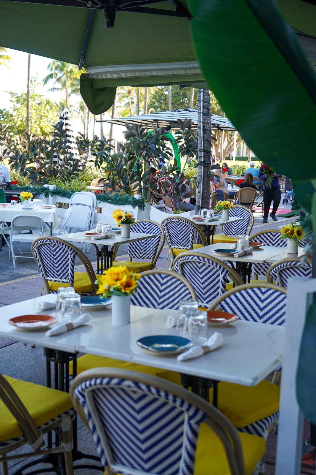 Alma Cubana patio
